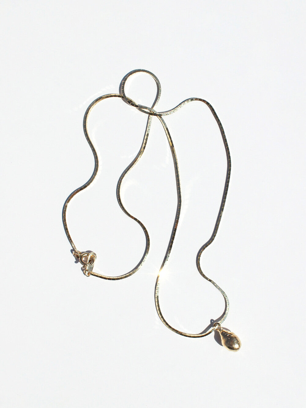 inodore-seasonless-14k-oilve-shell-necklace